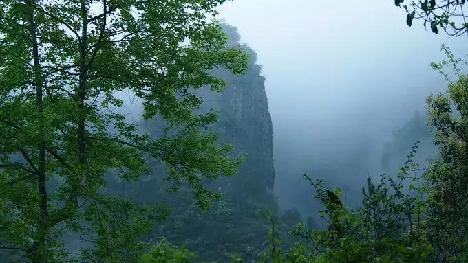 有个美丽地方叫青田,台州市美丽的地方