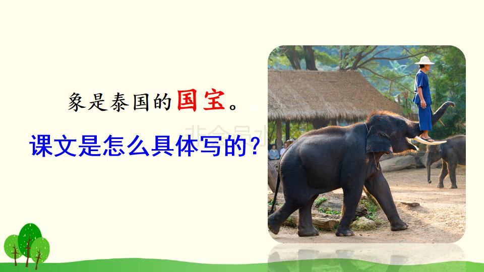 五年级下册与象共舞的作者是谁,与象共舞语文五年级下册老版