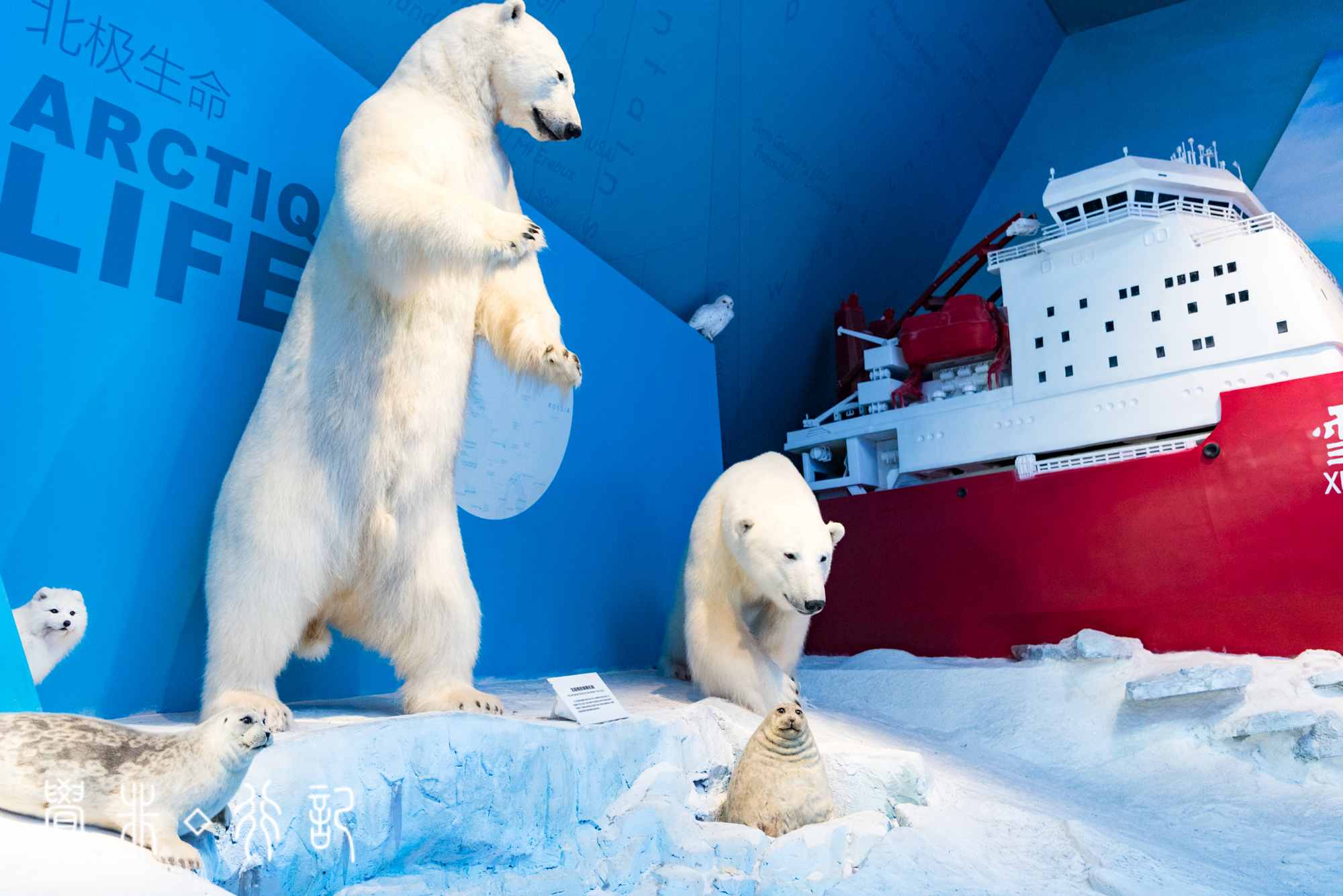 国家海洋博物馆又被称为海上故宫,天津国家海洋博物馆预约电话