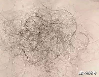 鏃ユ湰鐚村瓙鍚冮奔,鏃ユ湰鐚村瓙绉冨ご鍚冮潚鑺遍奔