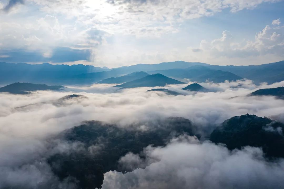 云舍结局,云舍最后的结局怎么样