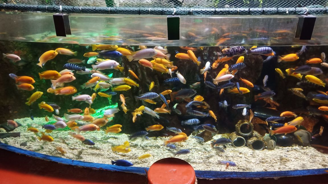 跟团北京三日游,北京旅游团三日游价格