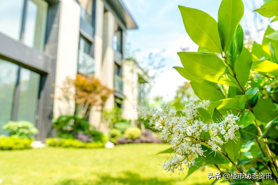 崇明三湘森林海尚联排户型,崇明三湘森林