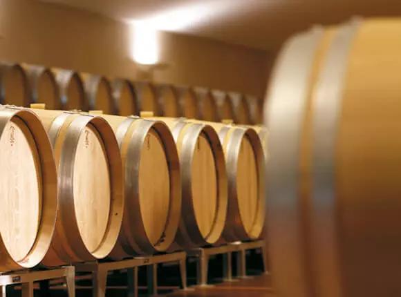 红葡萄酒的酿造过程,红葡萄酒酿造流程说明