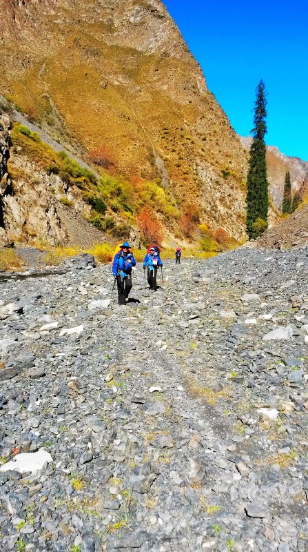 带上UL从狼塔C回家