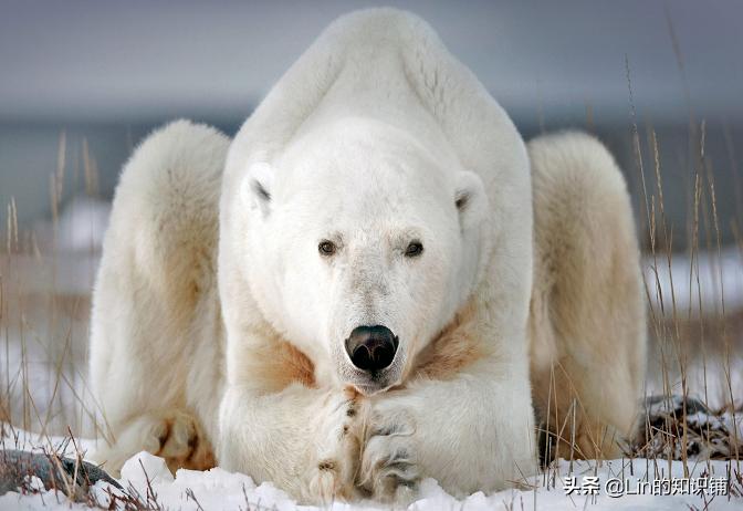 10条有趣的冷知识,很多人不知道的20个趣味冷知识