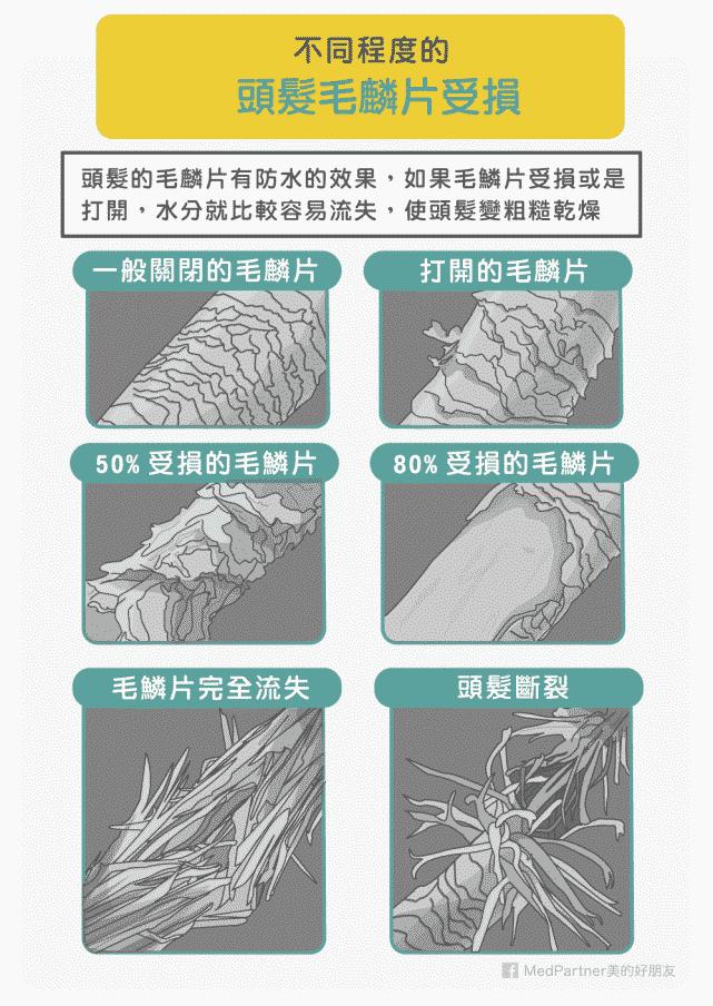 洗头是要洗发还是洗头皮？什么步骤才对？