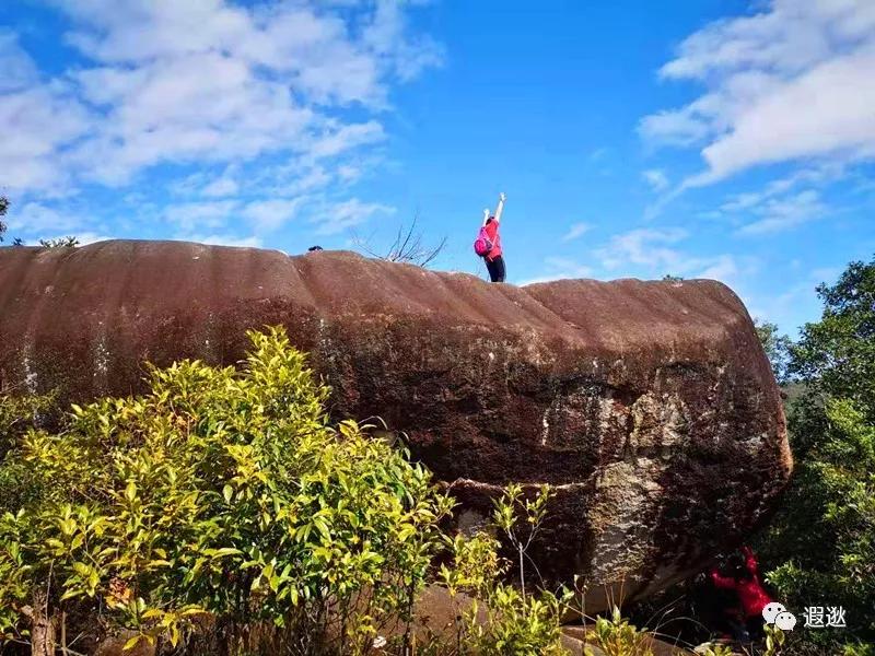 温州居然有这么美的小众景点,温州青龙山风景区在哪里