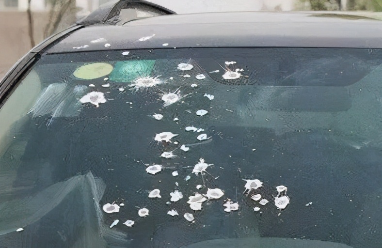 车身油渍怎么清洗,车身树胶清理小妙招