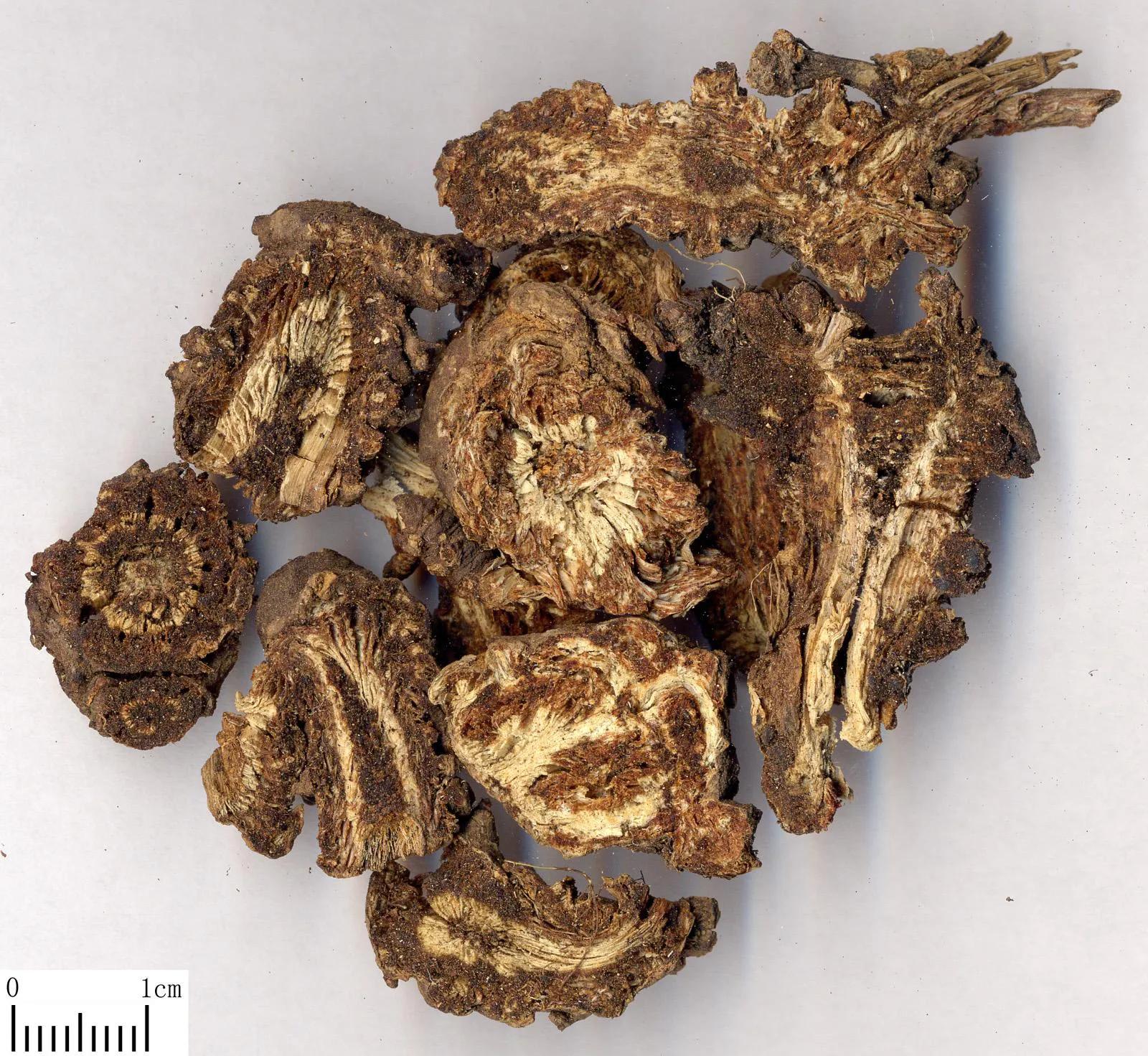 李东垣有一个经典名方升阳益胃汤,教授讲李东垣的升阳益胃汤