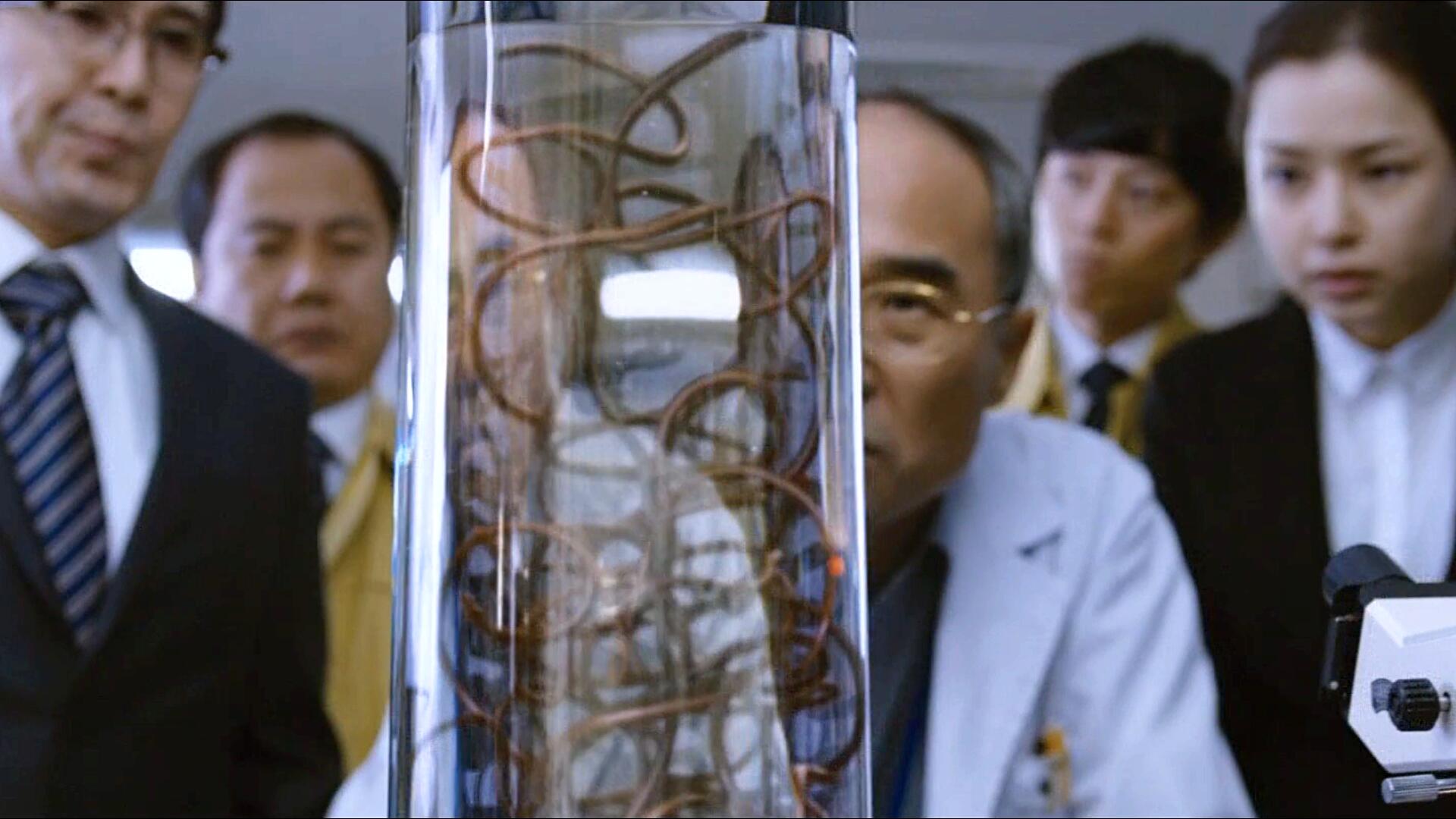 人类作死研究出的怪兽：铁线虫寄生人体太可怕，八爪鲨鱼爱吃人