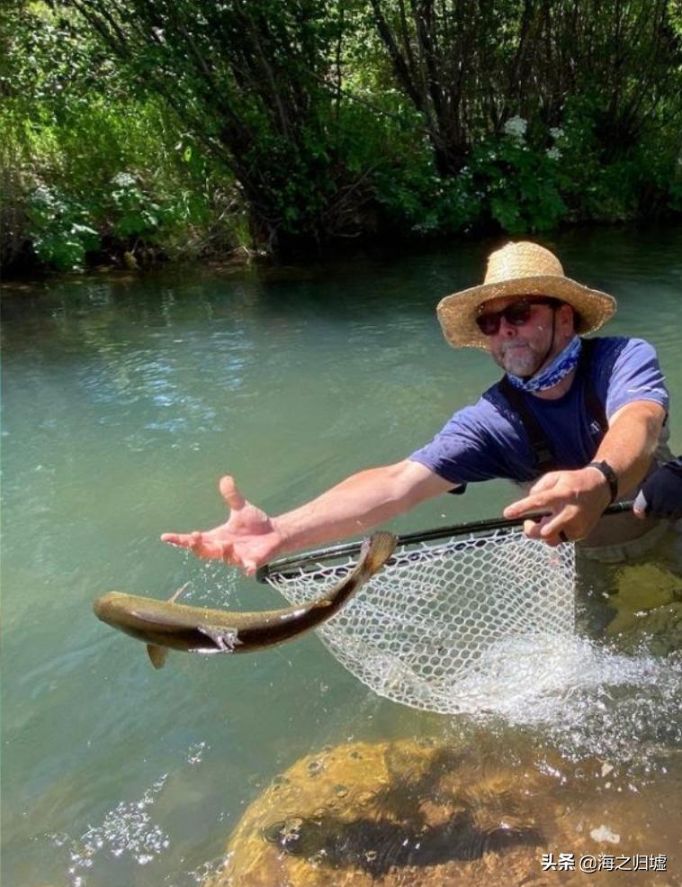 神级抓拍图片,25张令人惊叹的“神”级抓拍