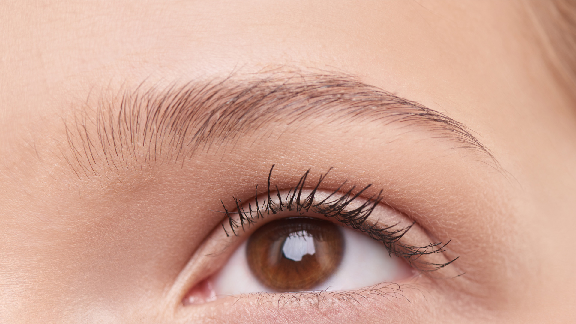 ps眉毛画笔怎么用,ps画笔教程从零开始学