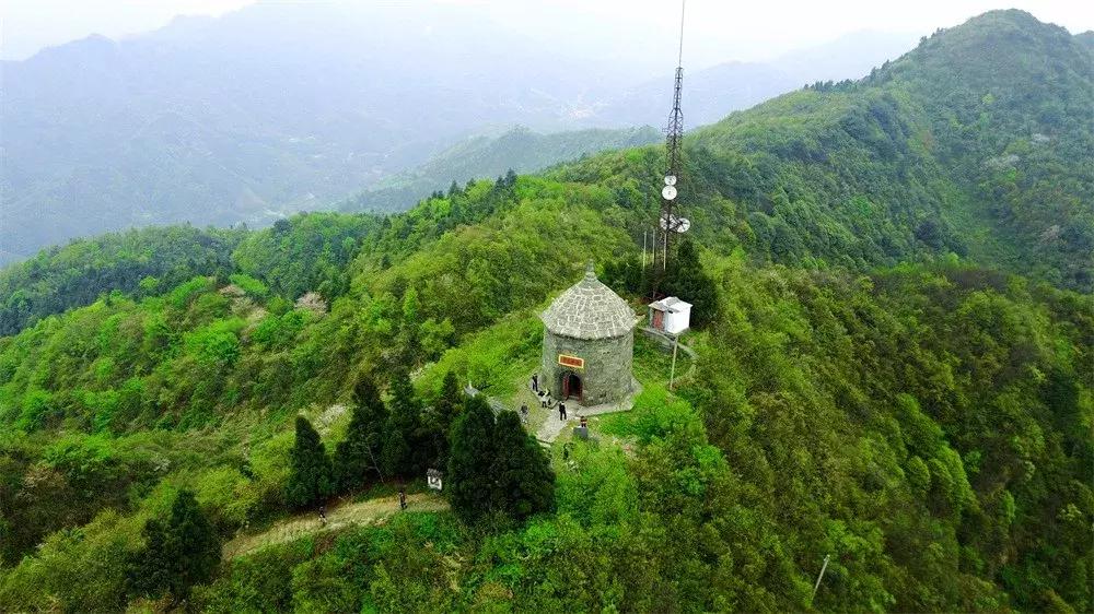 下一站联合电子,下一站同行