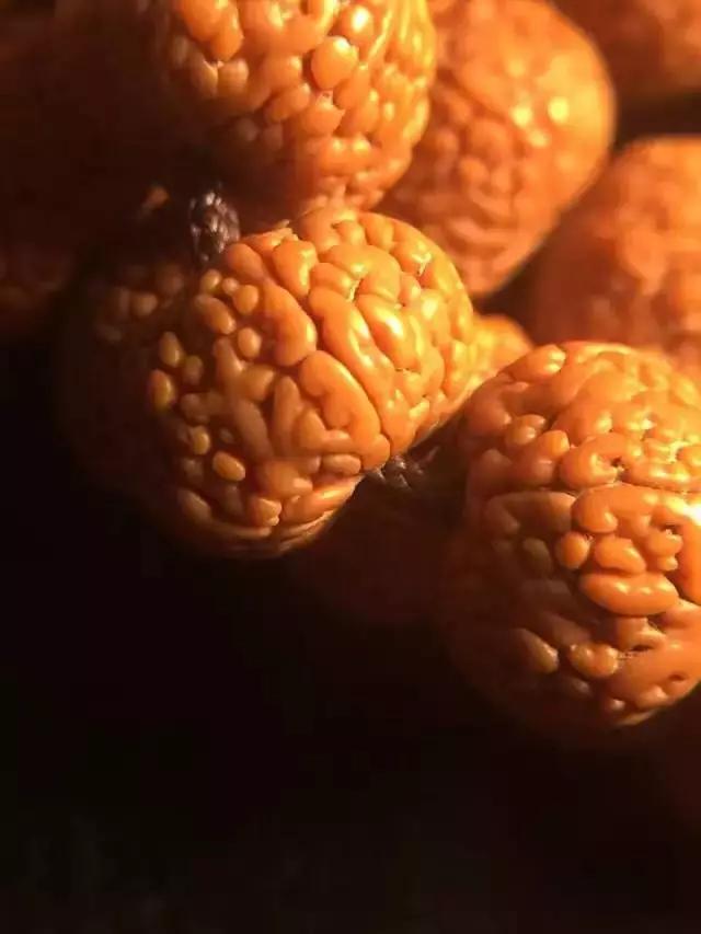 什么是金刚菩提鹰爪纹路,金刚菩提表面纹路磨损