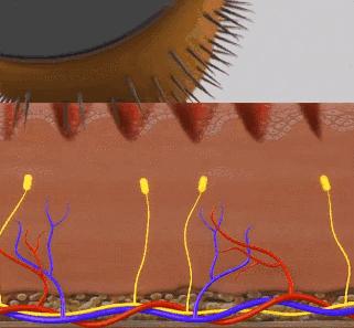 <html>
<head><title>502BadGateway</title></head>
<body>
<center><h1>502BadGateway</h1></center>
<hr><center>nginx</center>
</body>
</html>
<!--apaddingtodisableMSIEandChromefriendlyerrorpage-->
<!--apaddingtodisableMSIEandChromefriendlyerrorpage-->
<!--apaddingtodisableMSIEandChromefriendlyerrorpage-->
<!--apaddingtodisableMSIEandChromefriendlyerrorpage-->
<!--apaddingtodisableMSIEandChromefriendlyerrorpage-->
<!--apaddingtodisableMSIEandChromefriendlyerrorpage-->
