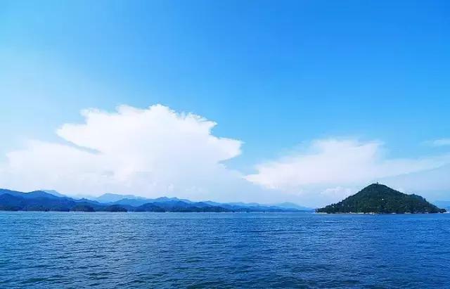 40岁大叔钓鱼,40岁大叔买下一座岛