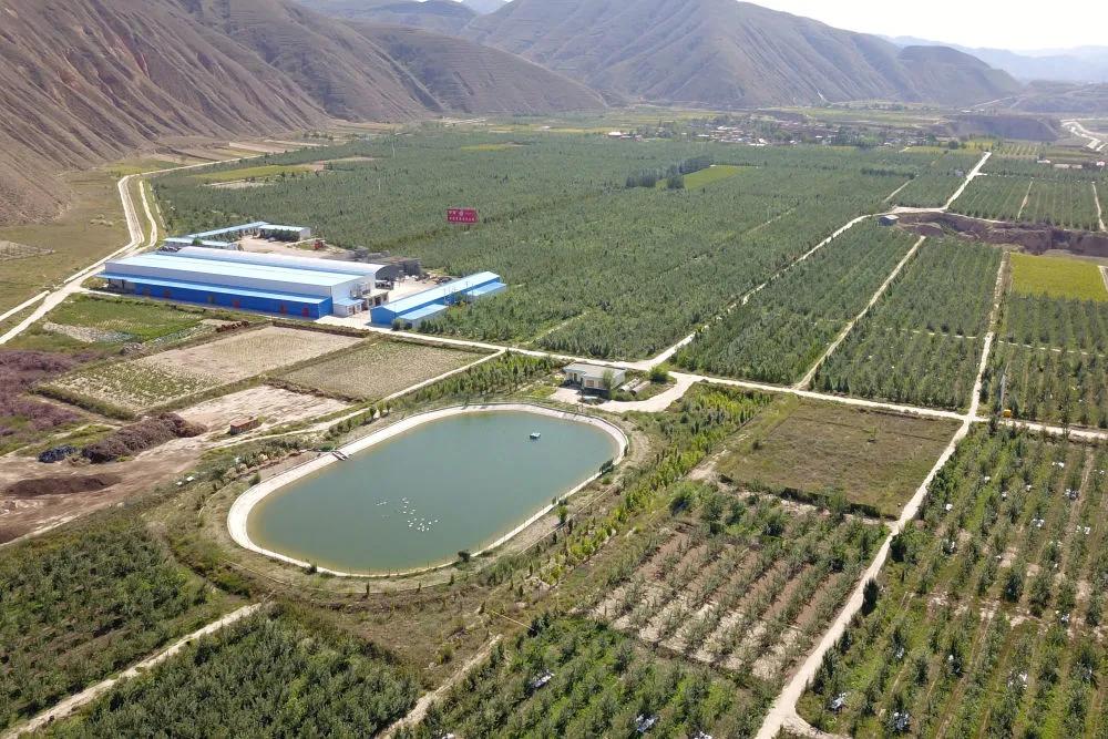 碧波奔流黄土坡——“引洮工程”的世纪圆梦故事