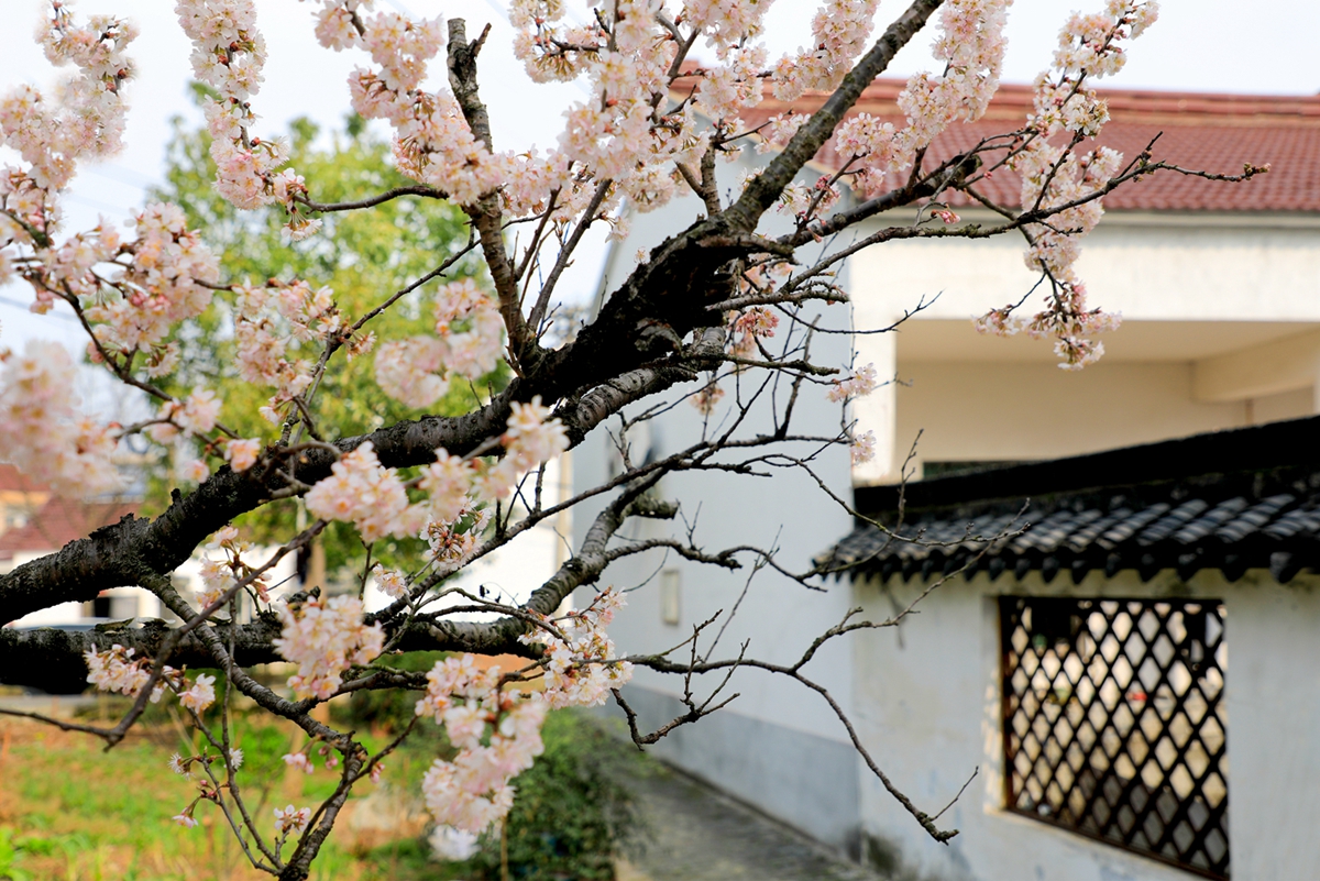 宜兴农村人均纯收入,小山村经济现状