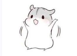 四十个理由让你彻底爱上苏州,四十个理由爱上骑行