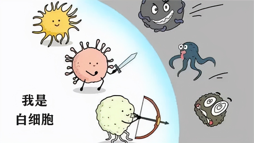 盗梦空间陀螺是不是图腾,盗梦空间陀螺深度解析