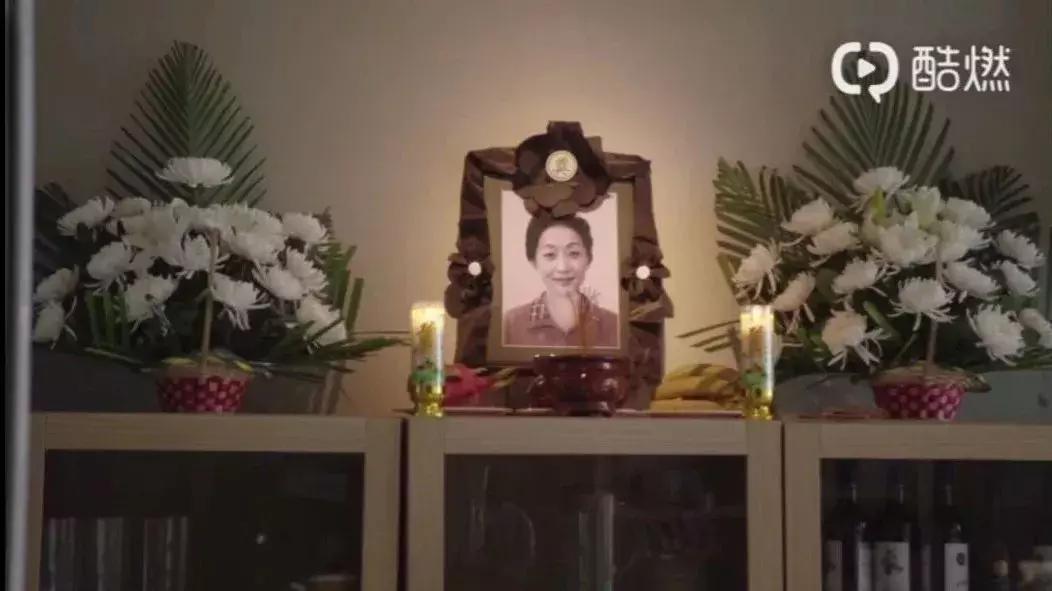 提前预定一个年度的电视剧,提前预定年度最烂电视剧