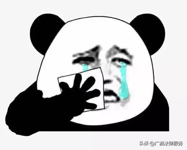 法亦有情案例,法亦有情影评