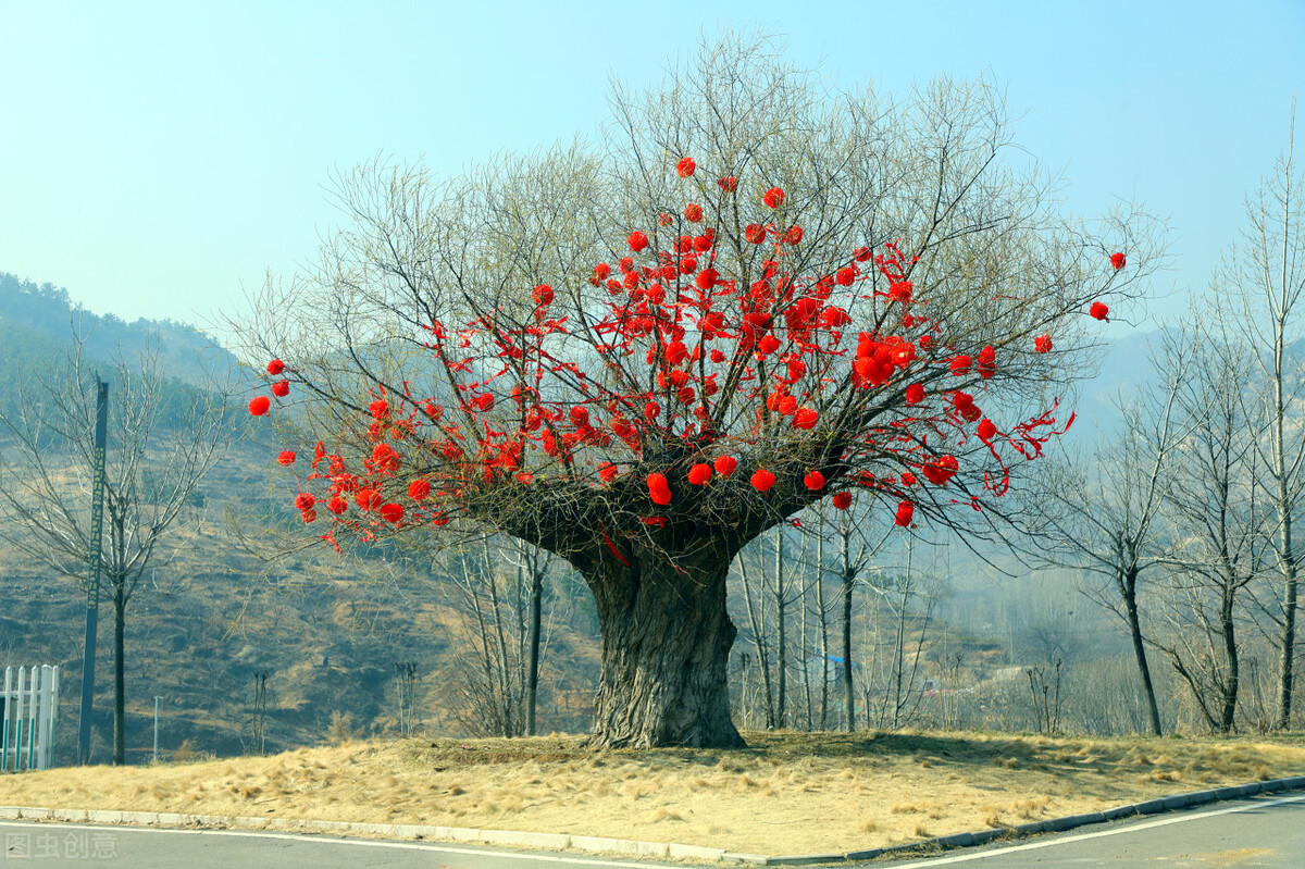 说走就走云南游记 (云南游记第三篇)