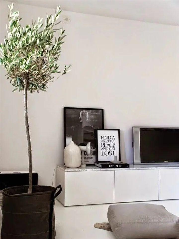 绿植快死了用什么方法可救活,你养的花为什么老死