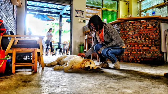 一个人去三亚的旅游攻略怎么做,三亚旅行攻略和注意事项大全