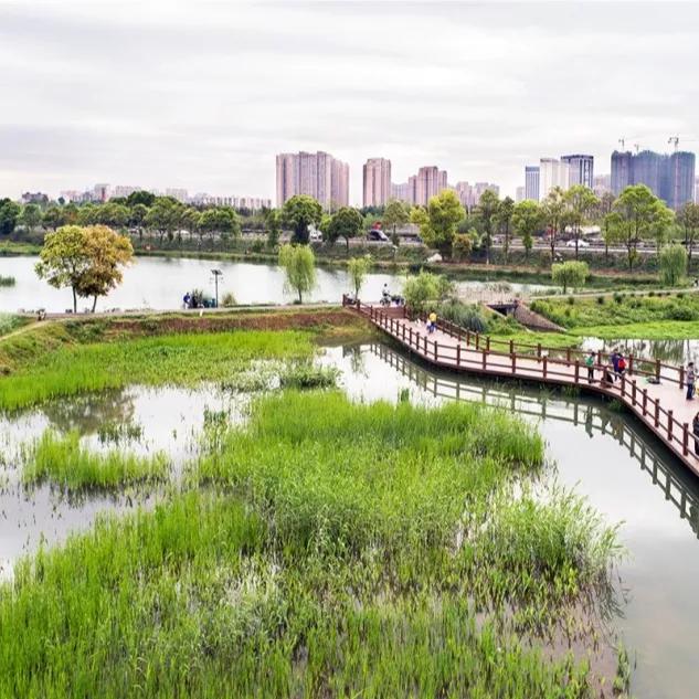 这里是三圣乡，盛产让世界迷恋的“城市多巴胺”