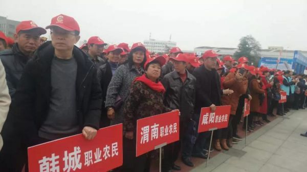 智慧农业黑科技乡村振兴新动力,乡村振兴智慧农业都有哪些项目