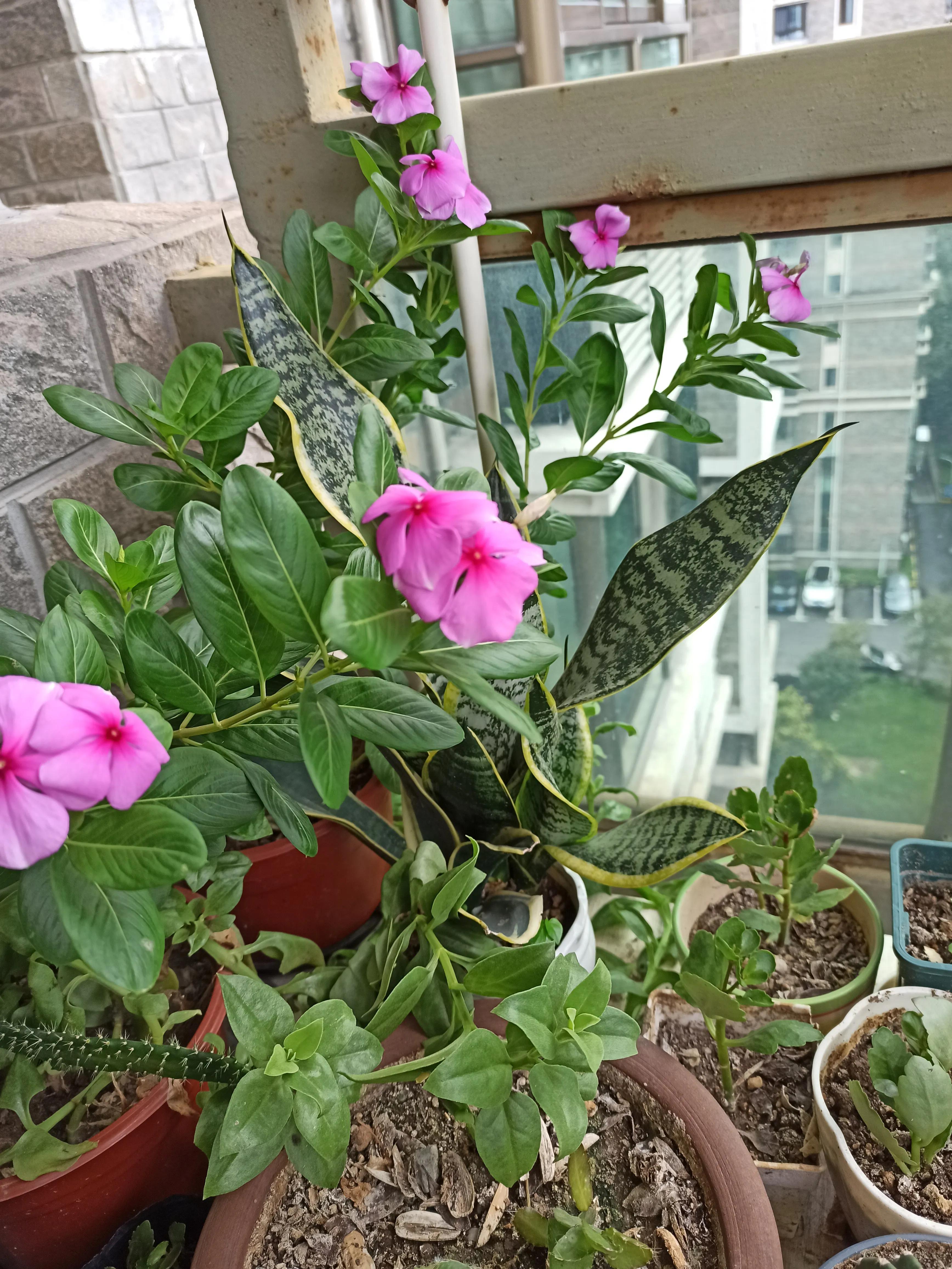 父辈的青春岁月全集,父辈的青春年华