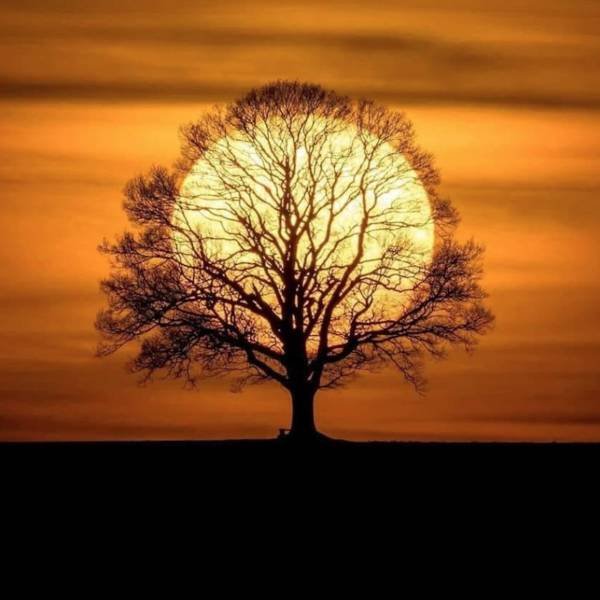 50张照片每一张都让人赞叹不已,50张让人叹为观止的照片