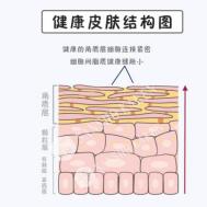 脸部去角质好用的产品推荐,李医生脸部去角质产品的价格