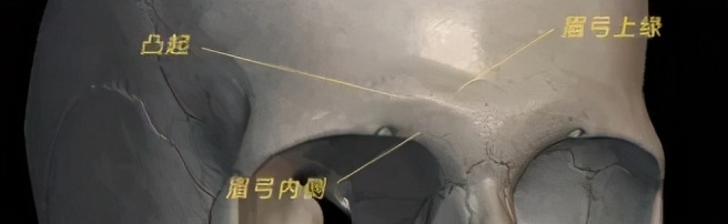 混血颜自测,五官混血的特征