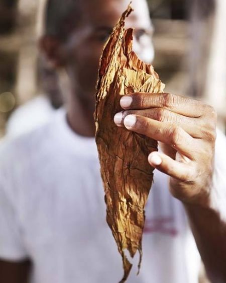 吸烟对身体有害为什么还要卖烟,吸烟有害为什么还要贩卖香烟