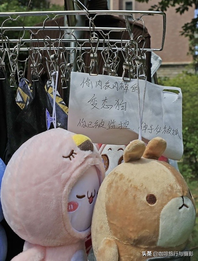 衡阳雁栖湖风景视频,雁栖湖今天视频