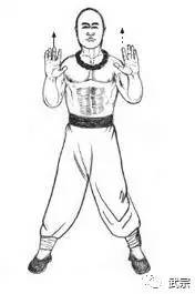 南少林十八桩,南少林罗汉拳完整版