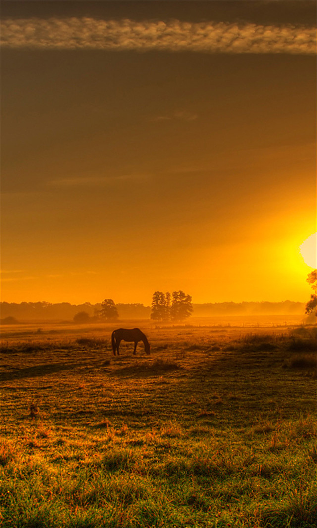 高清风景壁纸无水印全屏壁纸,风景壁纸手机壁纸