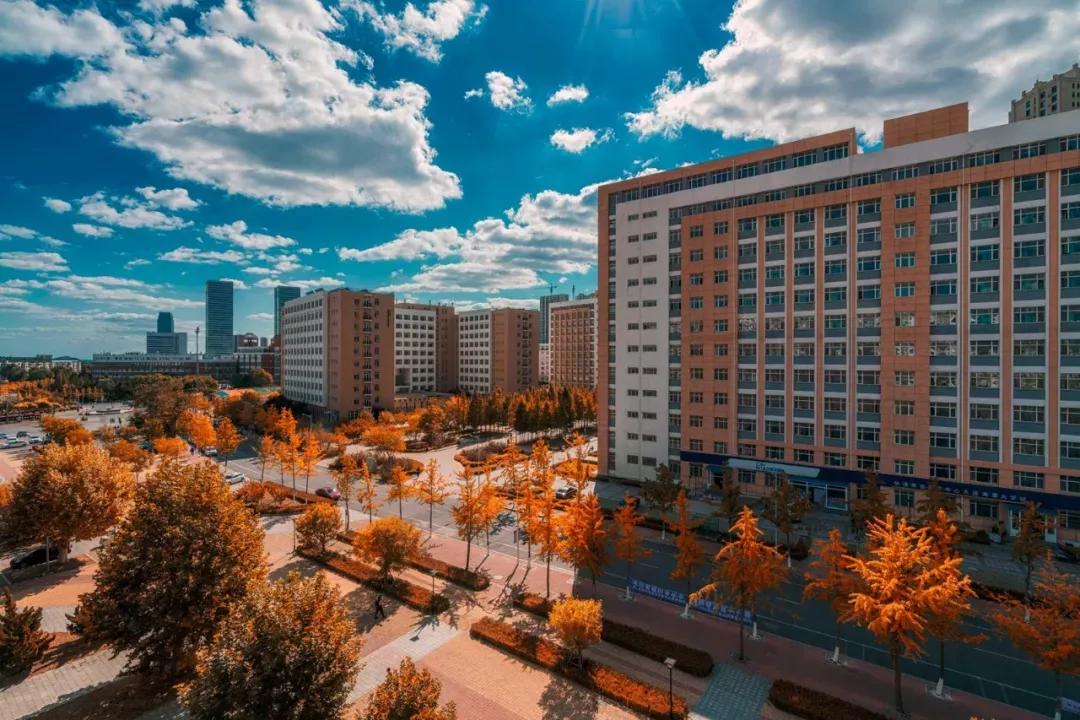 大连海事大学和辽宁省哪个级别高,大连海事大学辽宁省大学排名