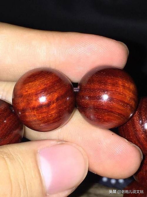 冬天了宠物这一身长毛千万别浪费，手串盘起来！