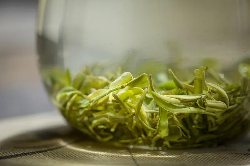 如何品茶才知绿茶好坏,绿茶品鉴方法