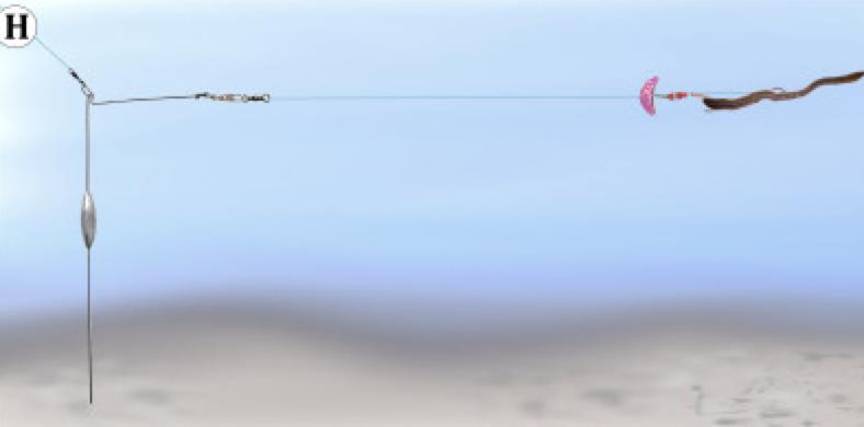 路亚滑漂搓饵钓各种各样大鱼,路亚无铅钓组钓大水面