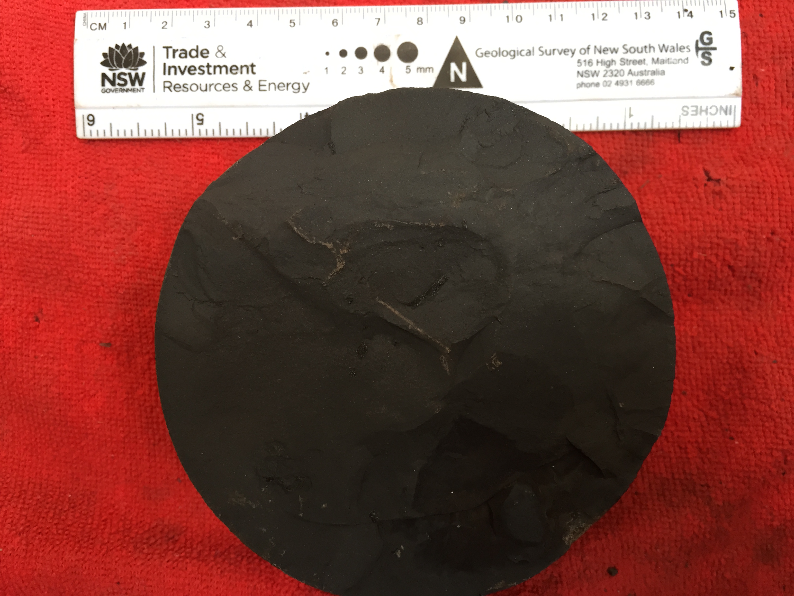 东北石油储量丰富东北有油田吗,大庆油田的石油总储量