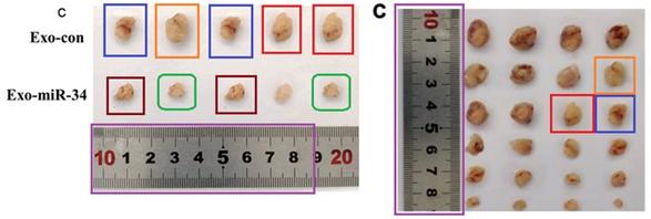 有关中医sci的论文选题,sci论文发表评价
