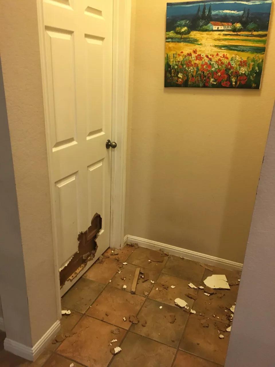 有宠一族必看：啥家庭条件呀，好几万的沙发随便毁？