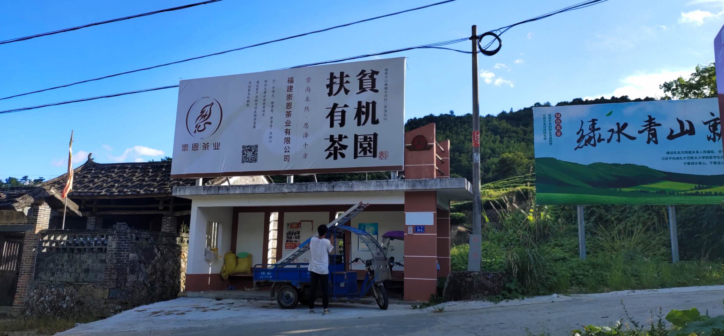 “云游”崇恩有机茶山：云巅之上，豁然开朗