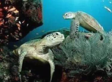 惠州斯维登宾馆,惠州斯维登公寓酒店