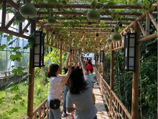 苏州太湖哪里好玩,苏州太湖西山景区